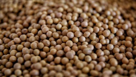 New report supports expanding VAT zero-rating