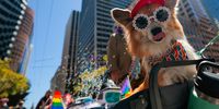 Photo Essay-InPictures21