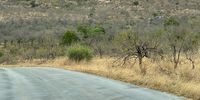 The long walk to freedom. Photographer: Derek Whalley