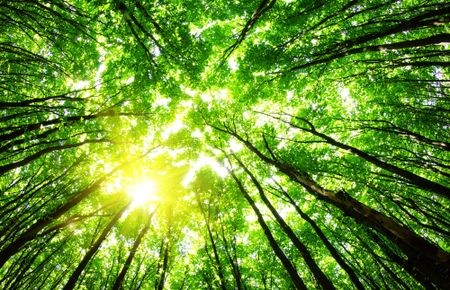 Five worthy winners influencing climate change