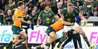 Bok flank Pieter-Steph du Toit suffered a concussion during the Rugby Championship defeat by Australia at Ellis Park. He will miss the return clash in Cape Town. (Photo: Sydney Seshibedi/Gallo Images)