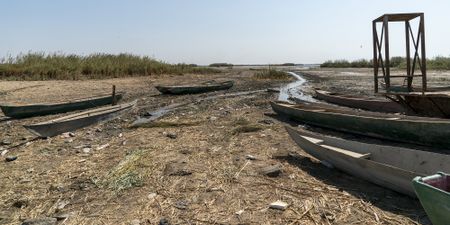 Iraq’s water plight – the drought between two rivers