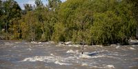 Floodwaters have expanded the Vaal River below the Vaal Barrage in Parys, Free State, following heavy rainfall and controlled releases from the Vaal Dam, surrounding many trees-including some on islands, North West, 30 April 2025. (Photo: Julia Evans)