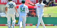 Proteas fight