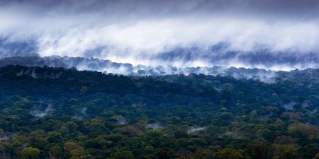 Africa stands ready to be an equal partner in the fight to conserve nature and combat climate change