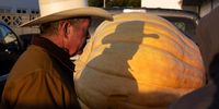 53rd Annual World Championship Pumpkin Weigh-Off Held In Half Moon Bay