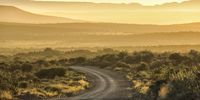 Sunset on a dusty Karoo road outside Jansenville. Image: Chris Marais
