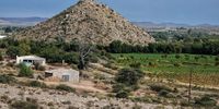 Grape farms near Groblershoop, on the Orange River. (Photo: Chris Marais)