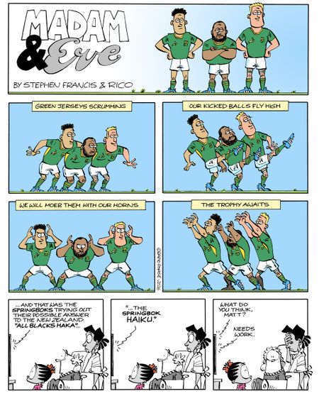 Synchronised Springboks