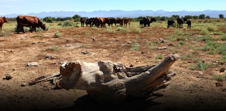 What the latest crime stats suggest about farm murders