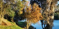Breede River near Bonnievale.