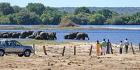 People now dominate 80% of the land elephants used to live on before colonial developments. (Photo: Supplied)