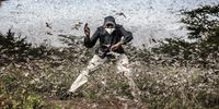 Invasion in East Africa. Herny Lenayasa, a Samburu man and chief of the settlement of Archers Post tries to scare away a massive swarm of locust ravaging an area next to Archers Post, Samburu County, Kenya on April 24, 2020.</p>
<p>A locust plague fueled by unpredictable weather patterns up to 20 times larger than a wave two months earlier is threatening to devastate parts of East Africa. Locust has made already a devastating appearance in Kenya, two months after voracious swarms -some billions strong- ravaged big areas of land and just as the coronavirus outbreak has begun to disrupt livelihoods. In spite of coronavirus-related travel restrictions, international experts are in place to support efforts to eradicate the pest with measures including ground and aerial spraying.</p>
<p>The Covid-19 pandemic has competed for funding, hampered movement and delayed the import of some inputs, including insecticides and pesticides.</p>
<p>The UN Food and Agriculture Organisation (FAO) has called the locust outbreak, caused in part by climate change, “an unprecedented threat” to food security and livelihoods. Its officials have called this new wave some 20 times the size of the first. Desert locusts are the most destructive migratory pests in the world. Thriving in moist conditions in semi-arid to arid environments, billions of locusts have been feeding throughout East Africa, devouring everything in their path, and posing a huge threat to the food supply and livelihoods of millions of people. Farmers stand by as armies of ravenous insects eat their crops; meanwhile, herders watch the rangelands stripped bare before their livestock can get to them. Extreme rainfall events and severe weather anomalies have created ideal conditions for locust breeding and feeding. Swarms of desert locusts from the Arabian Peninsula began rampaging across East Africa in early 2020, devouring crop and vegetation where they landed. The crisis reached historic proportions, with 10 countries in the Greater Horn of Africa and Yemen experiencing infestations. Some areas of East Africa, such as Kenya, had not seen such severe desert locust outbreaks in more than 70 years. Covid-19 restrictions have significantly slowed efforts to fight the infestation, as crossing borders has become more difficult, creating delays and disrupting the supply chains of pesticides and products needed to prevent these pests from wiping out vegetation across the region and exposing millions of people to high levels of food insecurity. © Luis Tato, Spain, Finalist, Professional, Wildlife & Nature, 2021 Sony World Photography Awards