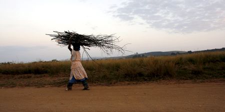 We need a new system of politics that reclaims the best of environmentalism, feminism and socialism