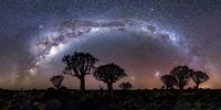 From stars to soil — ecologist Yadvinder Malhi brings physics to the living world
