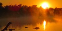 [Calm Sunrise over Lake Panic]. Photographer: [Petra Ackermann].