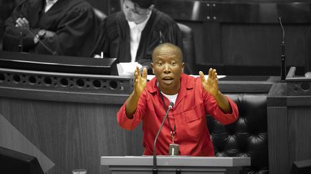 Advocates' body slams EFF's Julius Malema for his 'attack' on SA's judges
