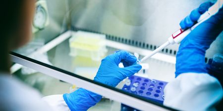 SA’s WTO ambassador calls for access agreement to apply to Covid-19 medicines