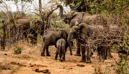 Falls in love – finding lesser-known treasures on the banks of the mighty Zambezi