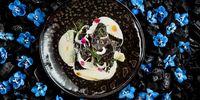 Sebastian Nico gets artistic for us with langoustine agnolotti on a Chef’s Table shoot. (Photo: Sebastian Nico)<br>