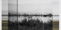 I am interested in the idea of nature as a cultural construct. In my series, the real and the manipulated overlap, resulting in a new landscape. In the foreground is a monochrome scene, and at the rear is a digital ‘backstage’. These images deal with observations such as the perception of colour through its absence, or the flatness of paper through its fold. © Andrea Alkalay, Argentina, Shortlist, Professional, Creative, 2021 Sony World Photography Awards