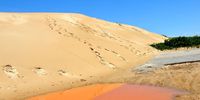 27/01/2022 Dunes at Sardinia Bay in Nelson Mandela Bay, Eastern Cape.<br>(Photo: Deon Ferreira)