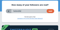 The Twitter Audit interface. (Source: Twitter Audit)