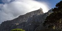 Share your favourite Table Mountain stories for an upcoming article series