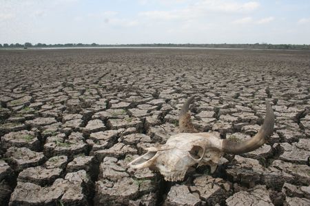 African Group of Negotiators head insists Africa climate change priorities need critical focus at COP27
