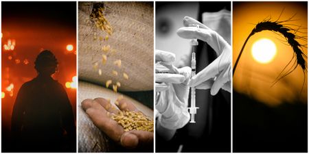 Fifty years after Stockholm Conference we face multiple hells, but ‘only one Earth’