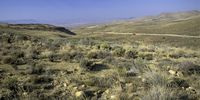 South Africa, Karoo, Eastern Cape. View of the Great Karoo and koppies (hills) between Nieu Bethesda and Cradock. Landscape shot showing the road running through in the middle distance. Scrub in foreground.