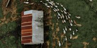 Sony World Competition — Showcasing striking perspectives from around the world