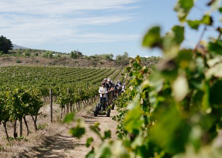 To dine for: Spier winemaker's dinners are a recipe for success