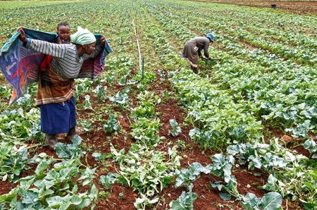 Analysis: Valuing land - the next frontier