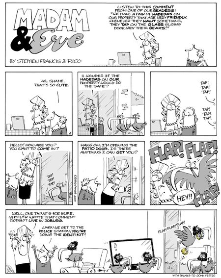 Joburg: Hadeda Holdup