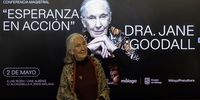 British ethologist and environmentalist Jane Goodall poses at the City Council of Malaga before offering a conference entitled Hope in Action on 2 May 2025.  EPA/JORGE ZAPATA