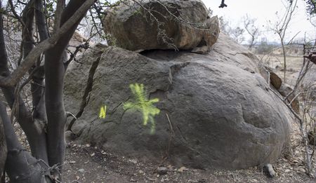 Marikana report: Court papers filed