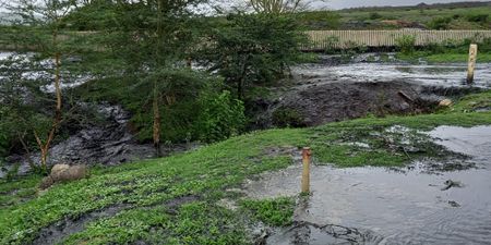 Black Mfolozi coal slurry spill: If you contaminate our river, you contaminate our souls