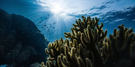 A New Deal for the Ocean