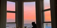 Miniature Schnauzer Schnauzi admiring the Camps Bay sunset. Photographer: Chris von Ulmenstein 