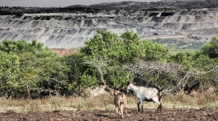 Political parties offer platitudes as climate crisis deepens and water woes worsen