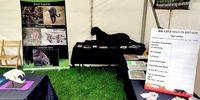 ME-Tiara-BlackLeopard