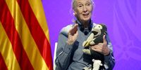 Jane Goodall’s legacy of courage and hope