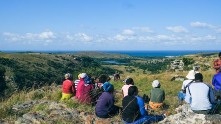 Activists urge Ramaphosa to move N2 Wild Coast Toll Road