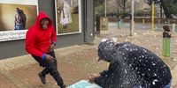 JOHANNESBURG, SOUTH AFRICA - JULY 10: Students play in the snow in Newtown on July 10, 2023 in Johannesburg, South Africa. It is reported that the South African Weather Service (SAWS) warned that snow comes with very cold conditions expected to last until the end of the week. (Photo by Gallo Images/Alet Pretorius)