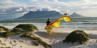 Kitesurfing - Cape Town. November 2021.