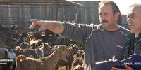 A Cypriot goat farmer talks to an MOD claims official in February 2016 (Credit: Sovereign Base Areas Administration)