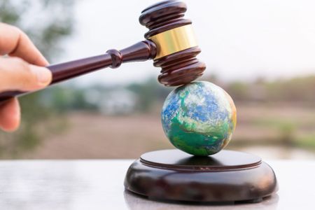 The Fiduciary Duty to Resuscitate Mother Nature: Must directors consider biodiversity impact in their decision making?