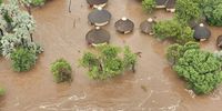 Kruger National Park prepares to ‘build back better’ after R1bn flood damage
