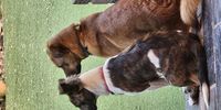 Rescues Rule. Photographer: Charmaine van Niekerk